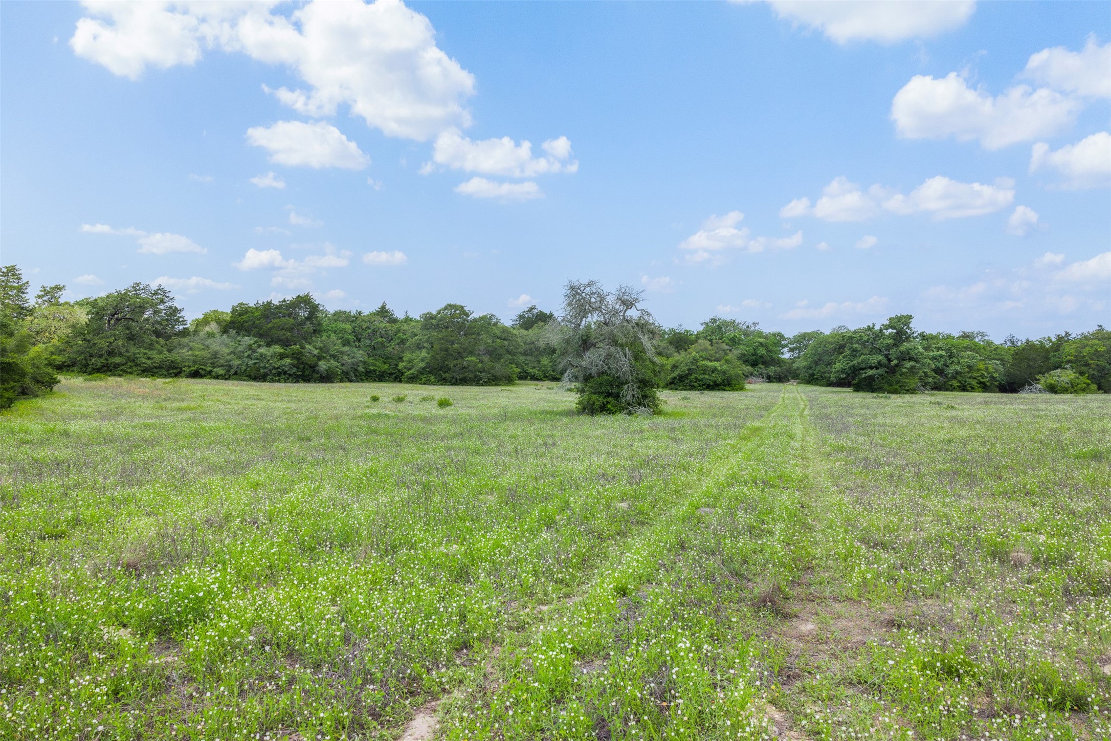622 Red Rock Ranch Road Red Rock, TX 78662 - Photo 20 of 46 a view of a lake with a big yard
