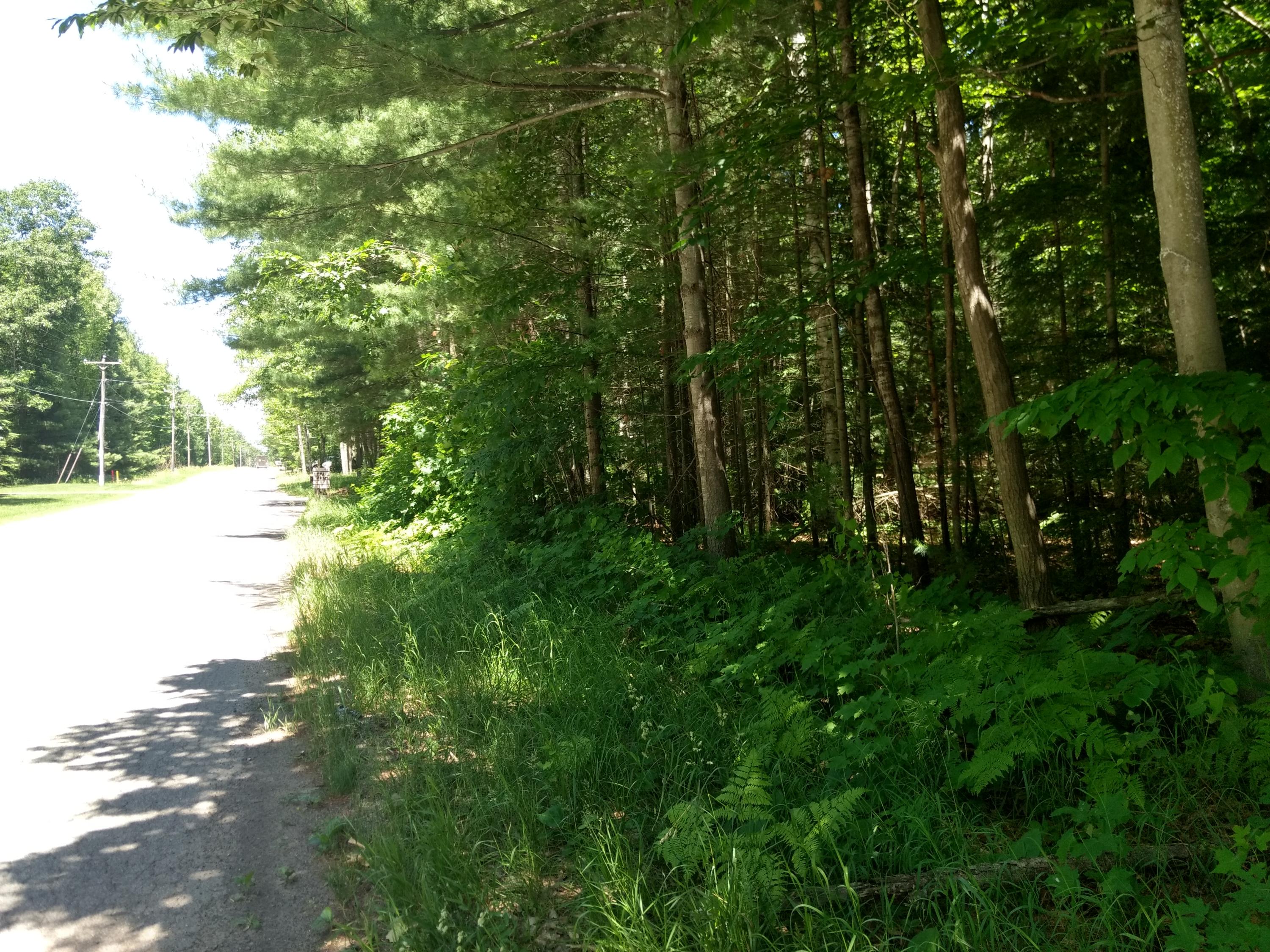 Fowler Lake Road Gaylord, MI 49735 - Photo 4 of 4 Gallery Image 4