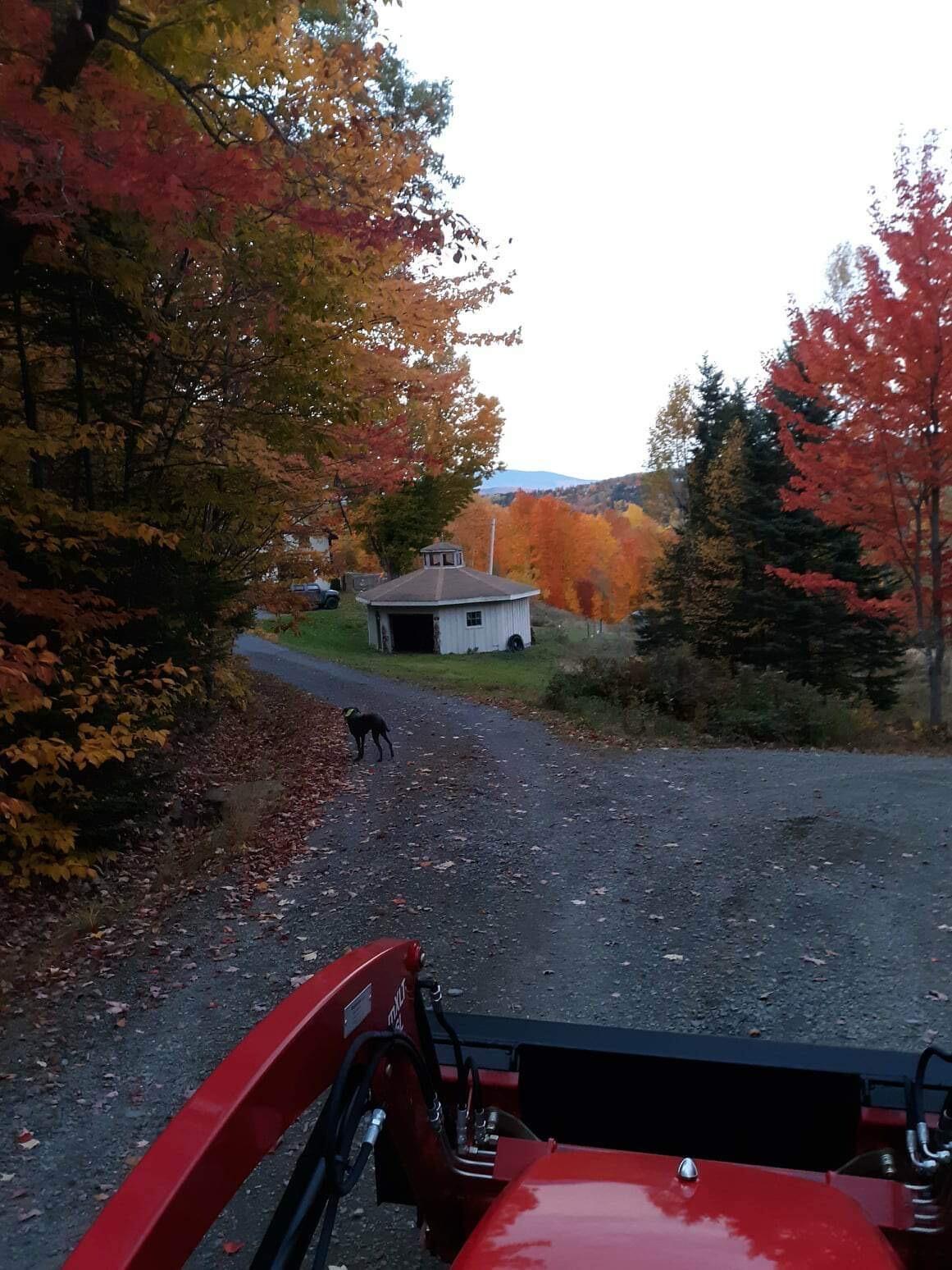 32 Holman Road Rangeley, ME 04970 - Photo 10 of 41 IMG_8655