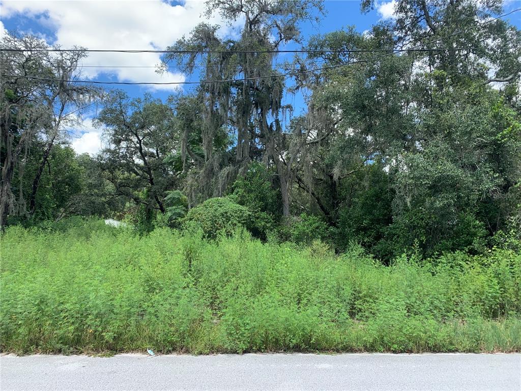 10117 Markham Street New Port Richey, FL 34654 - Photo 1 of 1 Gallery Image 1