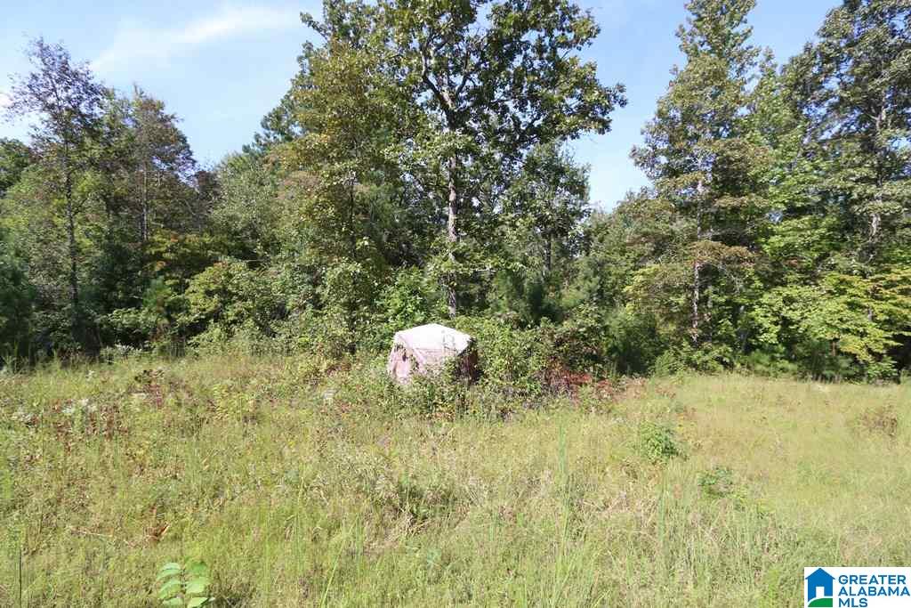 Sprayberry Road, Unit 103 Cropwell, AL 35054 - Photo 24 of 48
