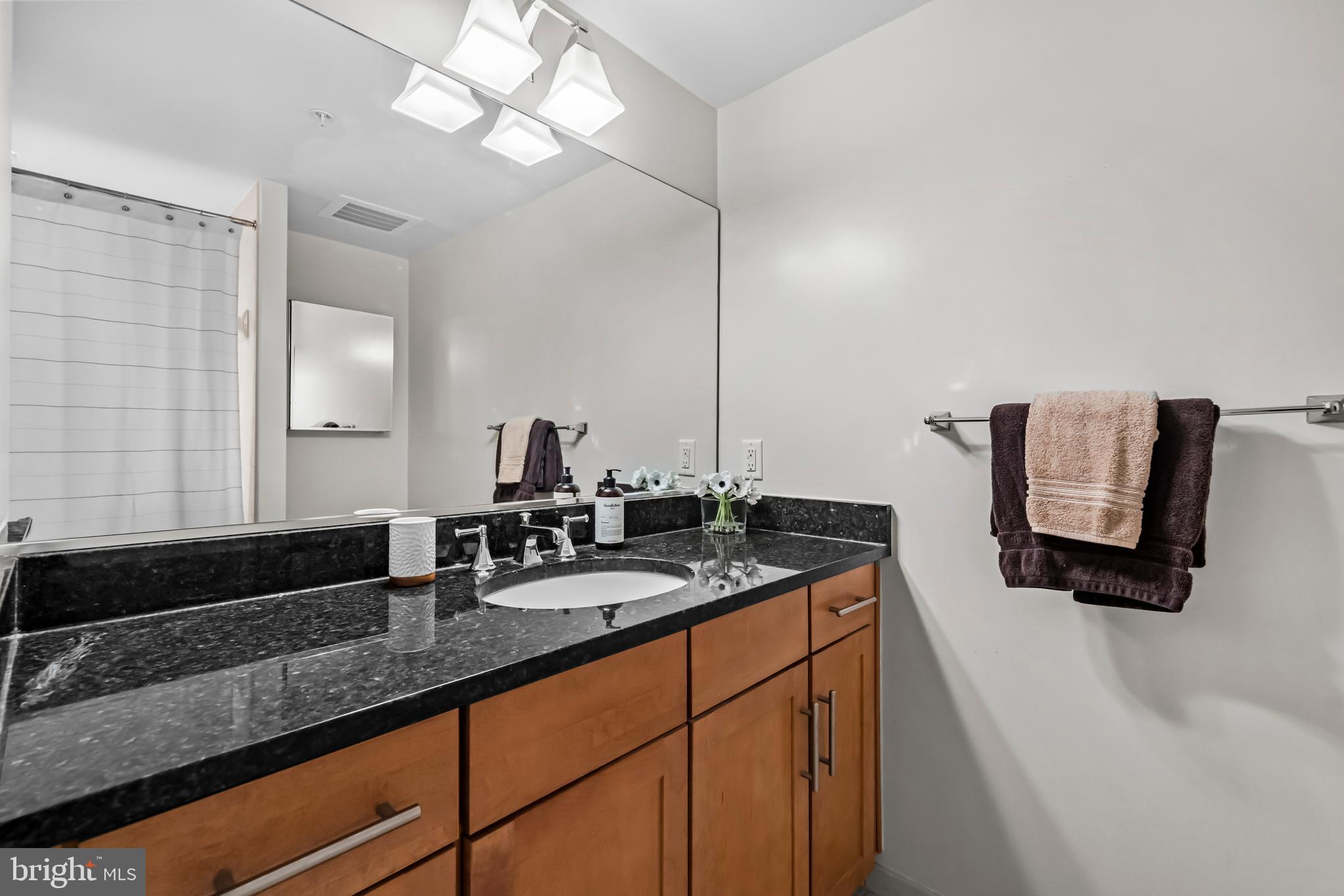1111 Oronoco Street, Unit 326 Alexandria, VA 22314 - Photo 32 of 54 a bathroom with a sink a vanity and mirror