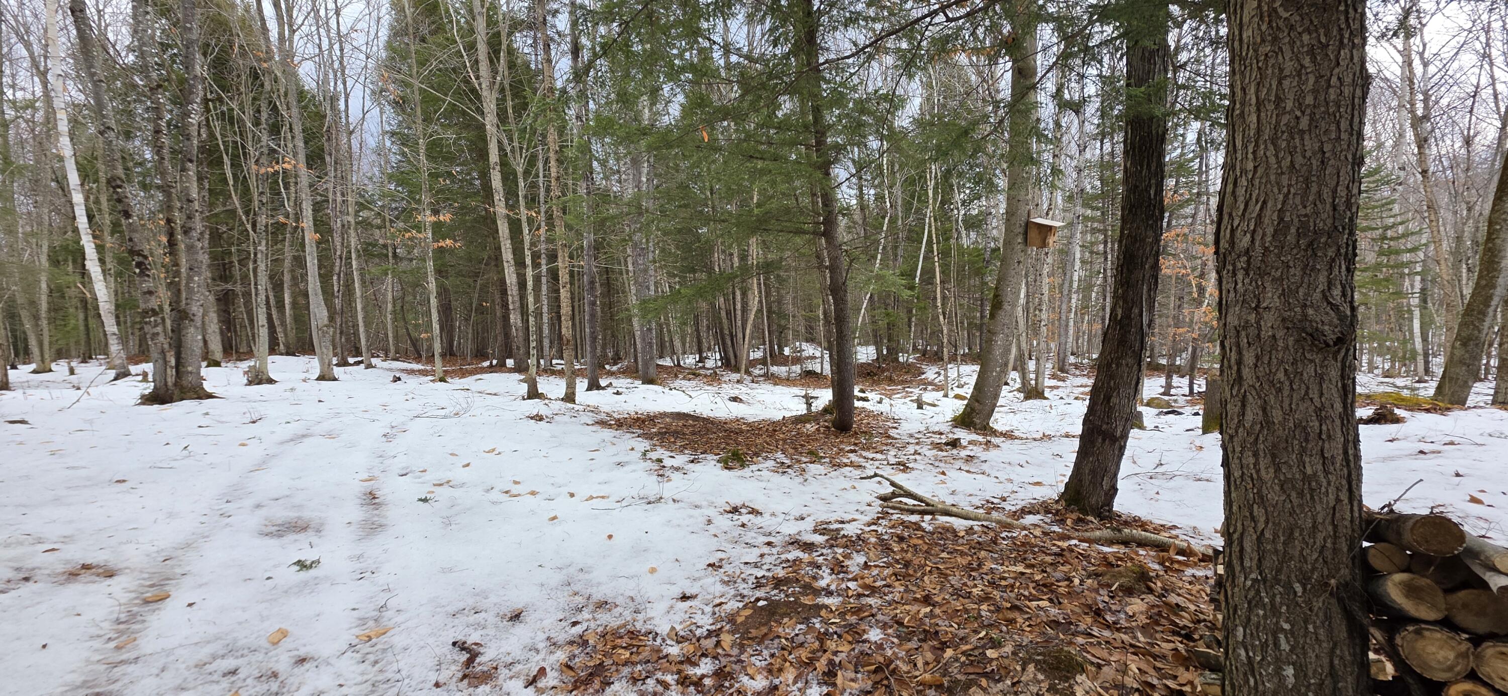 585 Main Street Sumner, ME 04292 - Photo 1 of 7 585 Main 4