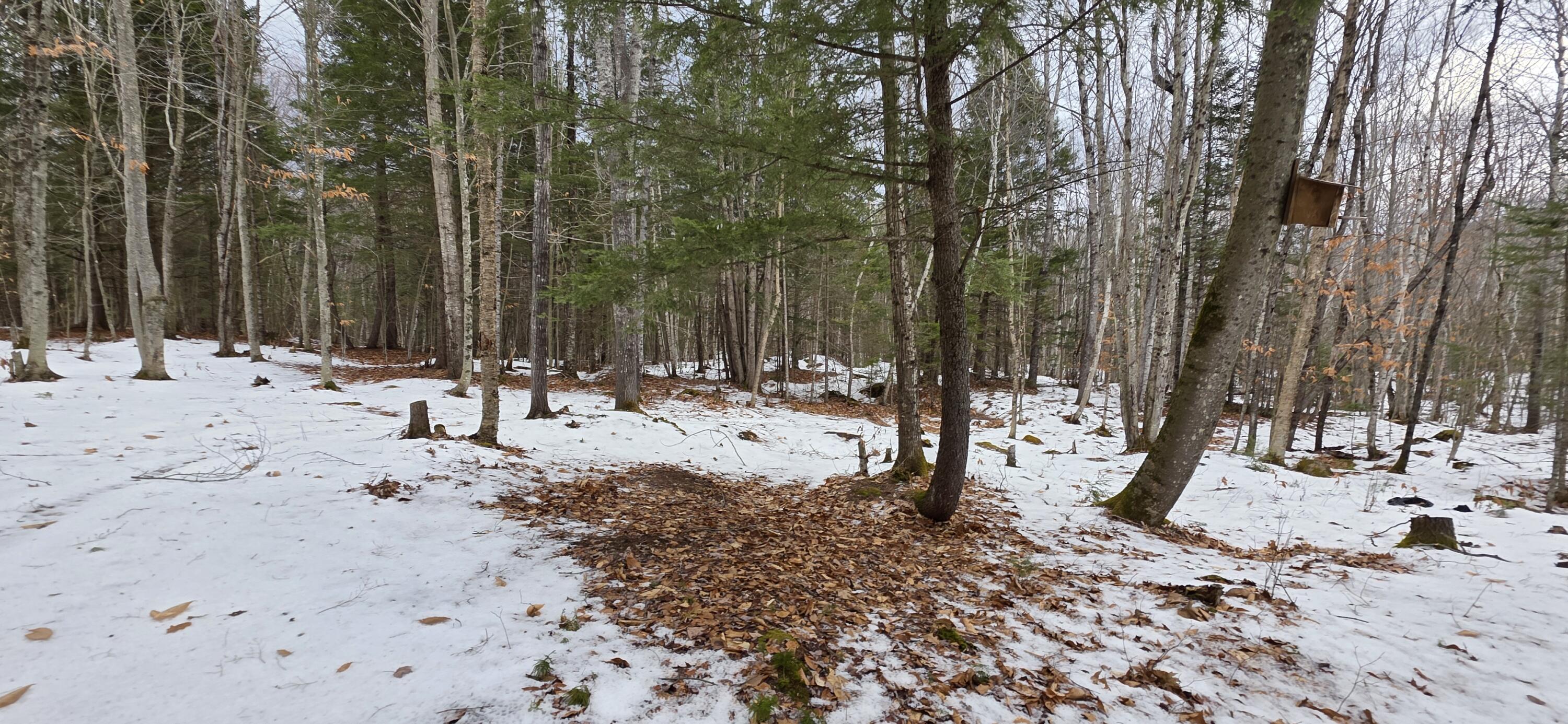 585 Main Street Sumner, ME 04292 - Photo 2 of 7 585 Main 1