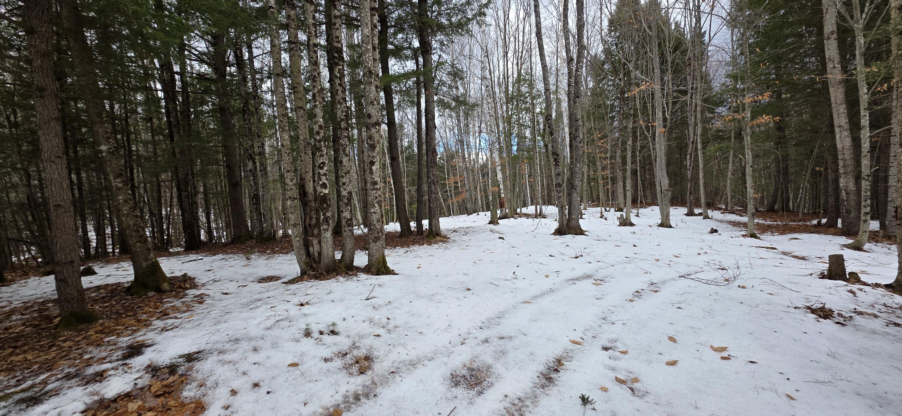 585 Main Street Sumner, ME 04292 - Photo 3 of 7 585 Main 2