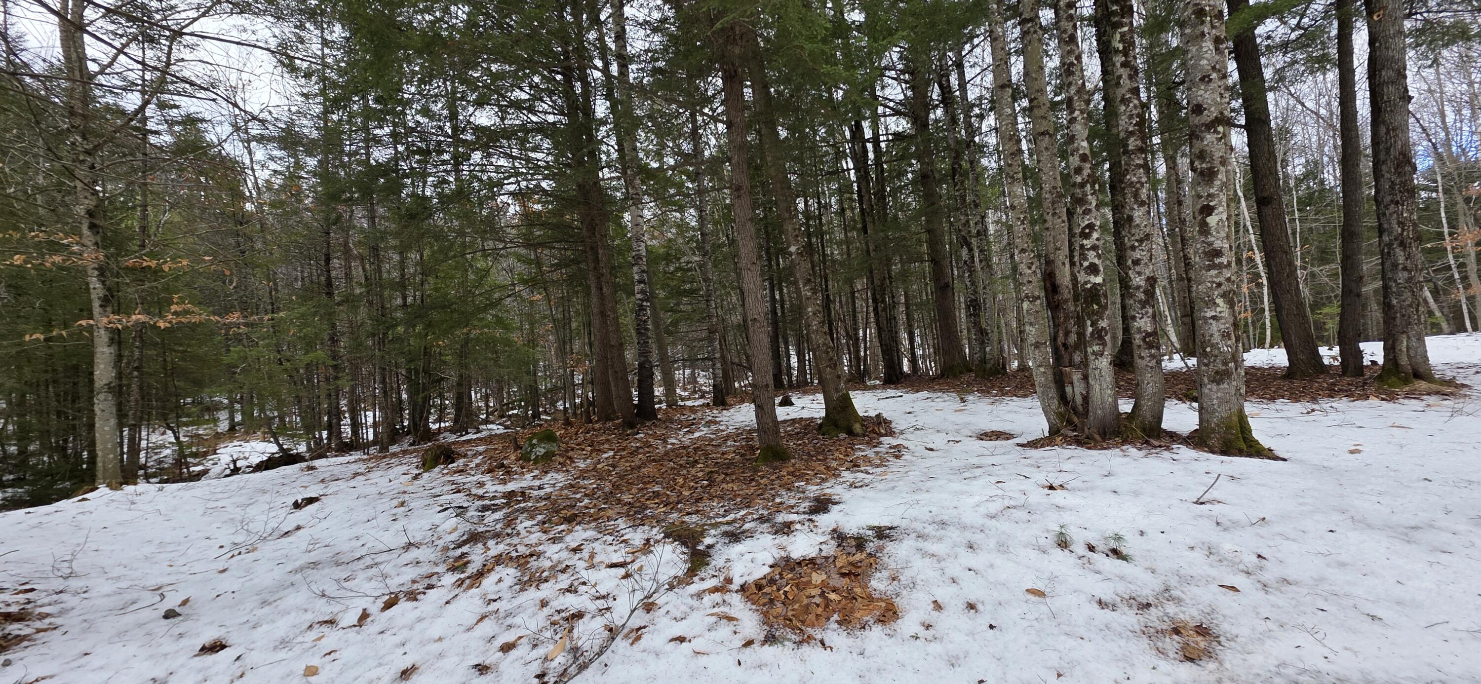 585 Main Street Sumner, ME 04292 - Photo 5 of 7 585 Main 5