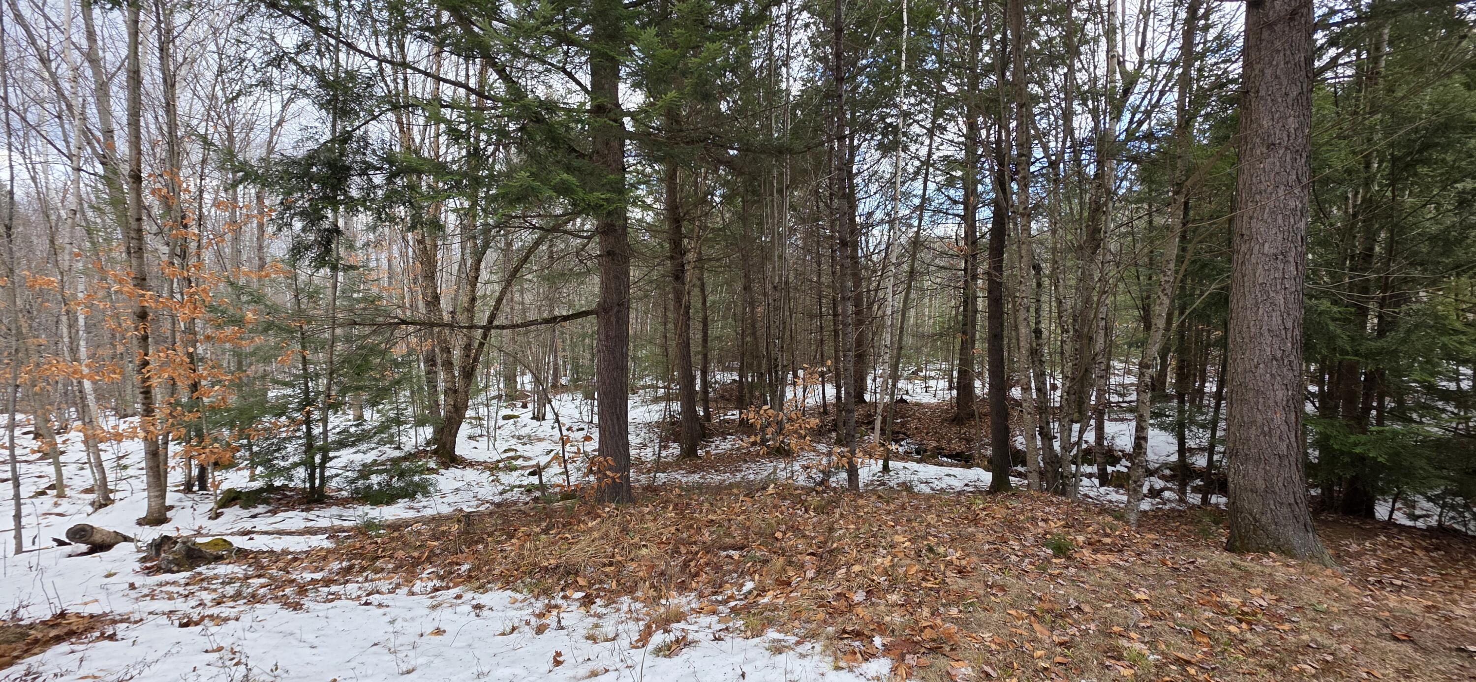 585 Main Street Sumner, ME 04292 - Photo 7 of 7 585 Main 7