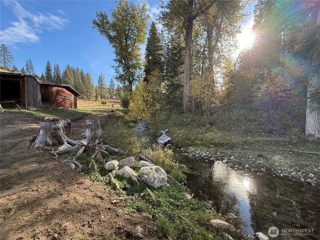 a view of a forest with trees