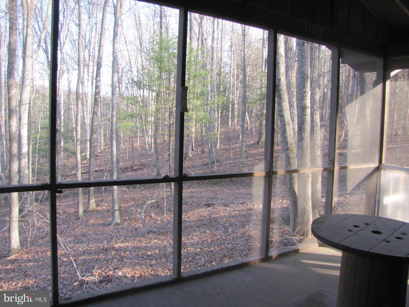 299 Whorton Hollow Road Castleton, VA 22716 - Photo 4 of 12 Exterior (Rear)