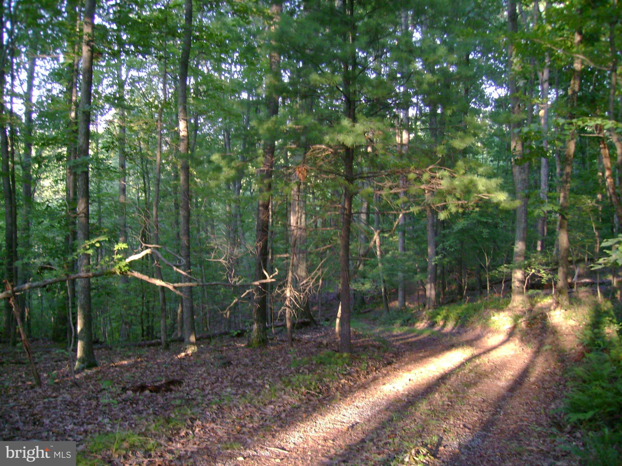 299 Whorton Hollow Road Castleton, VA 22716 - Photo 6 of 12 View