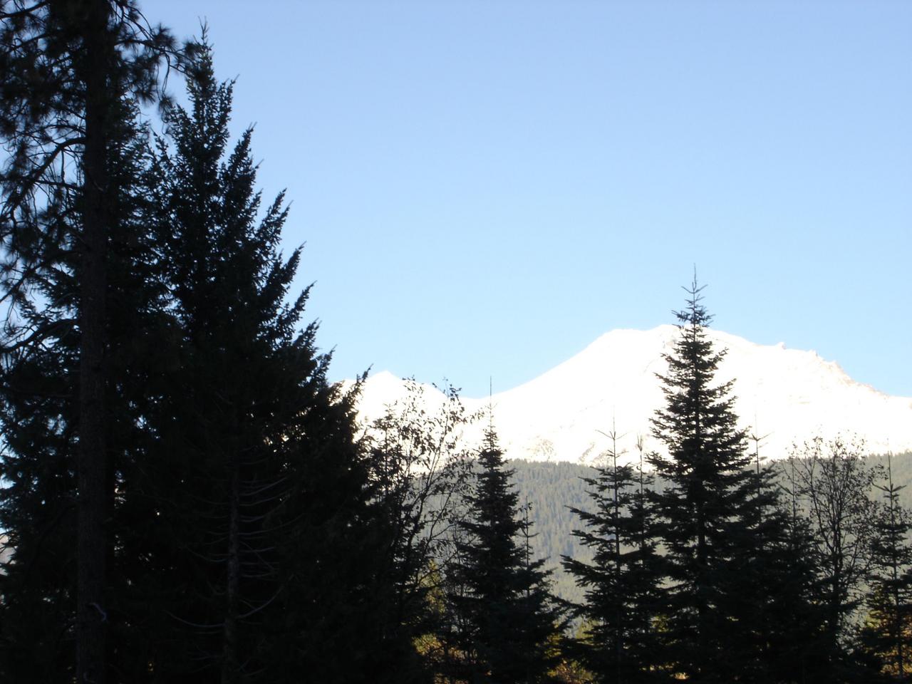 Hill Road Mount Shasta, CA 96067 - Photo 3 of 3 trees on lot