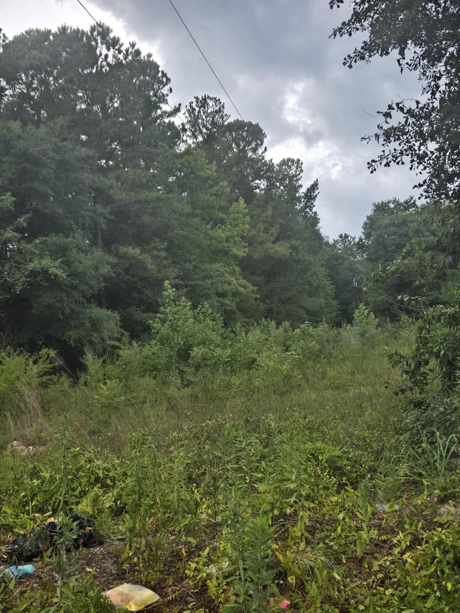 Lot 2 Rodenberry Road Cross, SC 29436 - Photo 2 of 4 1000003110