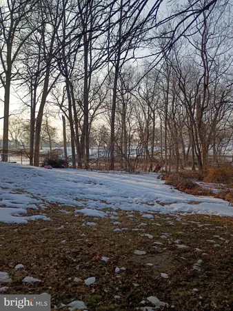 a view of dirt yard with a tree