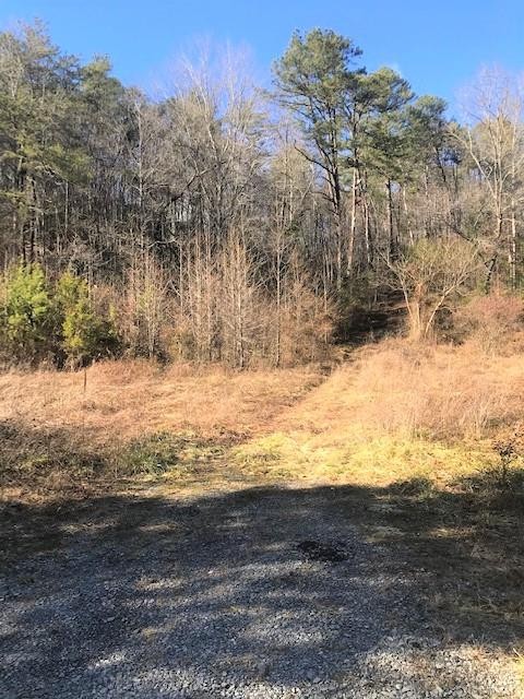 44 Little Cove Church Road Sevierville, TN 37862 - Photo 1 of 8 Gallery Image 1