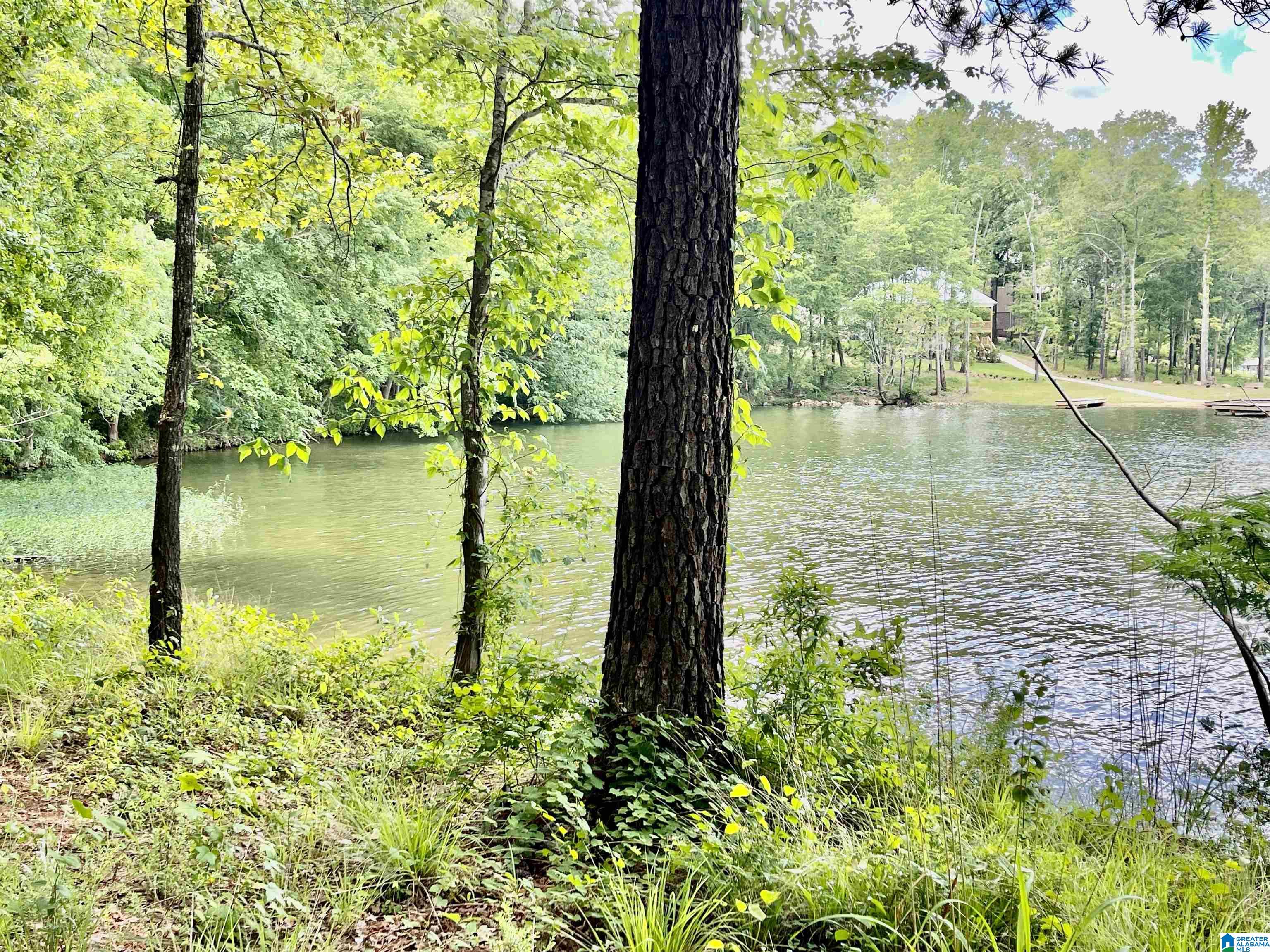 595 Willingham Road, Unit 595 Talladega, AL 35160 - Photo 6 of 23
