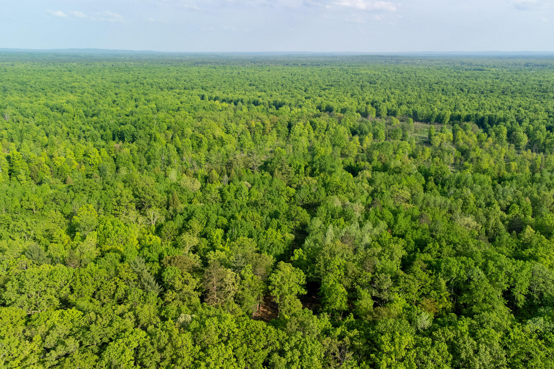 4040 Udell Hills Road Manistee, MI 49660 - Photo 48 of 57 4040_Udell_Hills_Rd-54