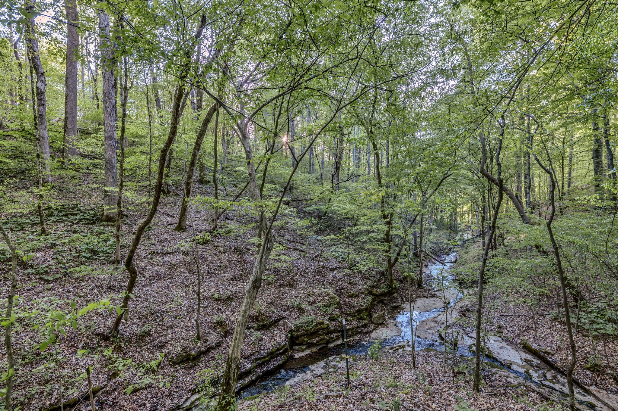 15 Greenbriar Road Franklin, TN 37064 - Photo 34 of 63 a backyard of a house with lots of trees