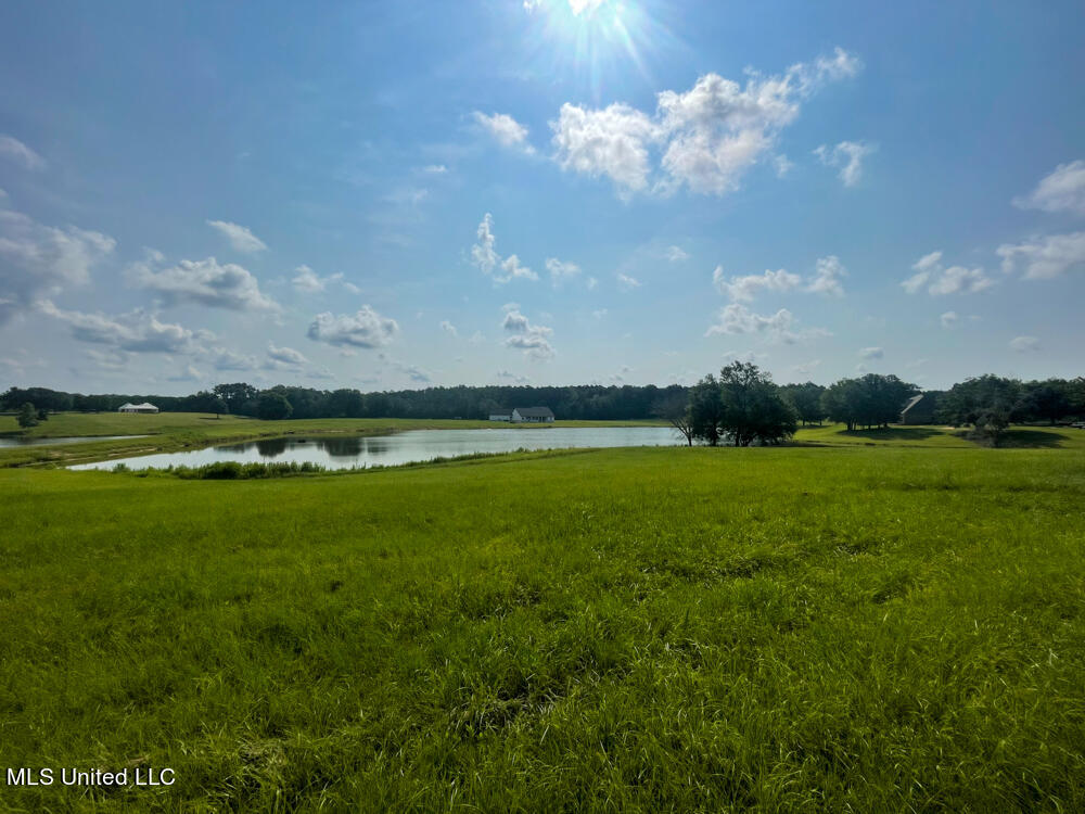 Lot 11 Conner Stringer Drive Lucedale, MS 39452 - Photo 28 of 54 IMG_2298