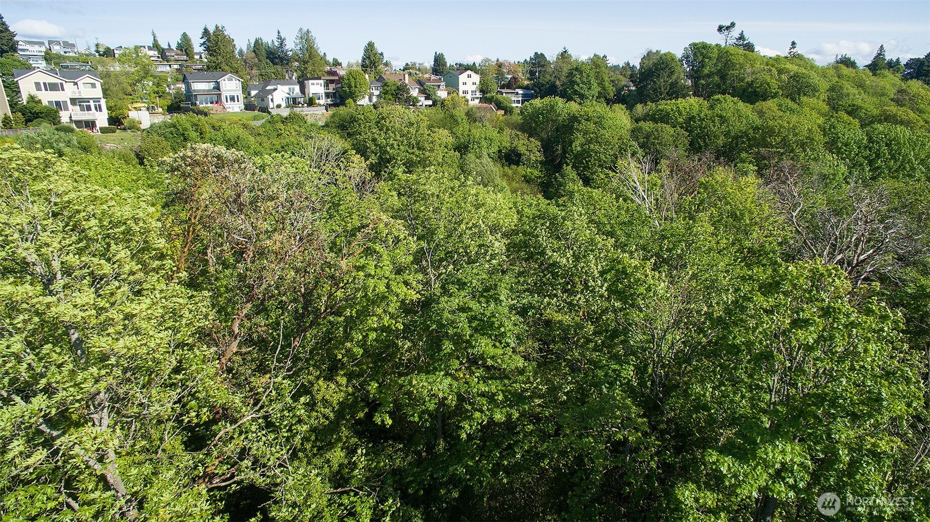 5426 Beach Drive Southwest Seattle, WA 98136 - Photo 7 of 9 an aerial view of a houses with a yard