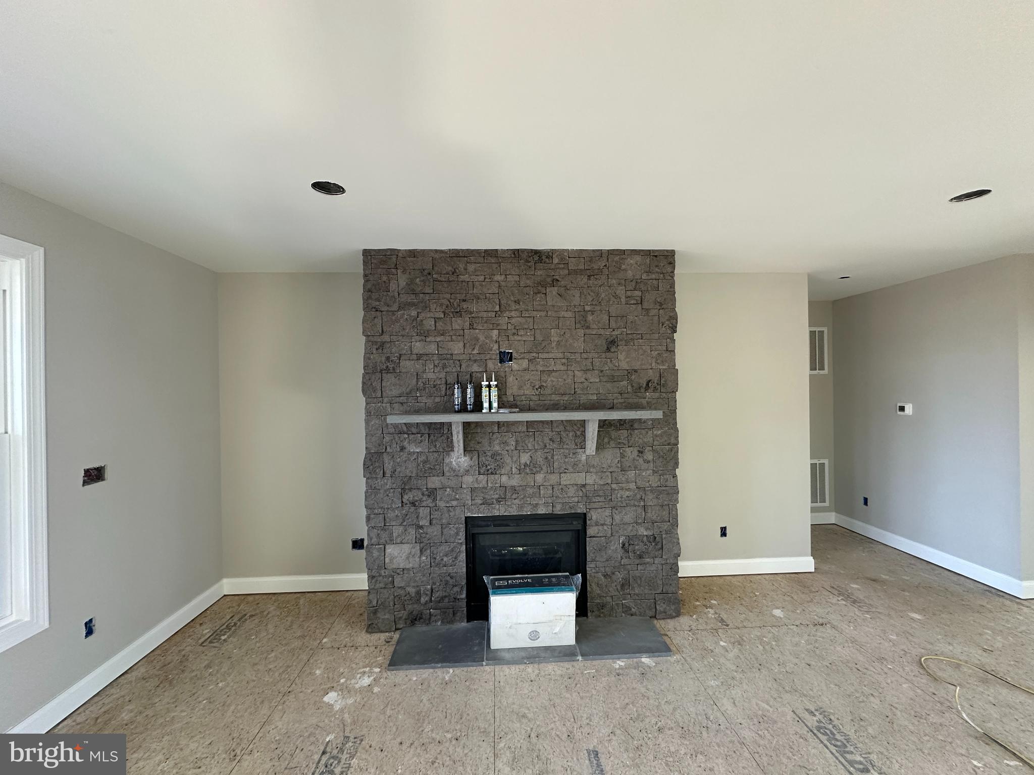 855 Redbud Road Winchester, VA 22603 - Photo 15 of 46 1-29-24 Pics Gas Fireplace