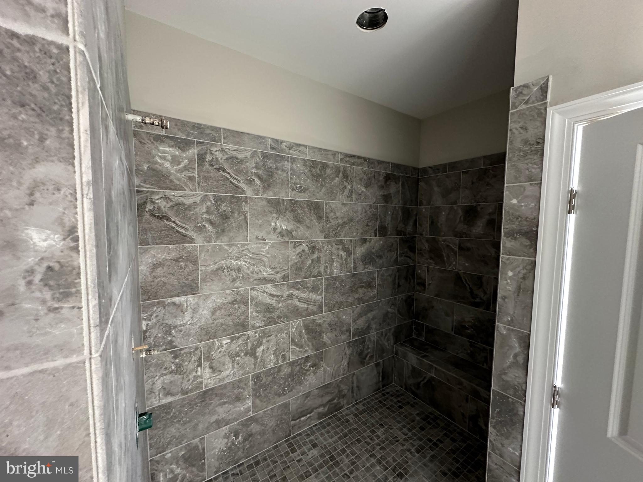 855 Redbud Road Winchester, VA 22603 - Photo 30 of 46 1-29-24 Pics Owners Shower w/ Seat