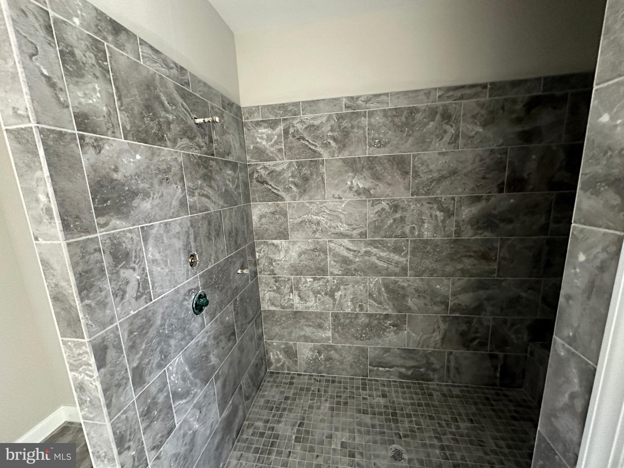 855 Redbud Road Winchester, VA 22603 - Photo 31 of 46 1-29-24 Pics Owners Shower