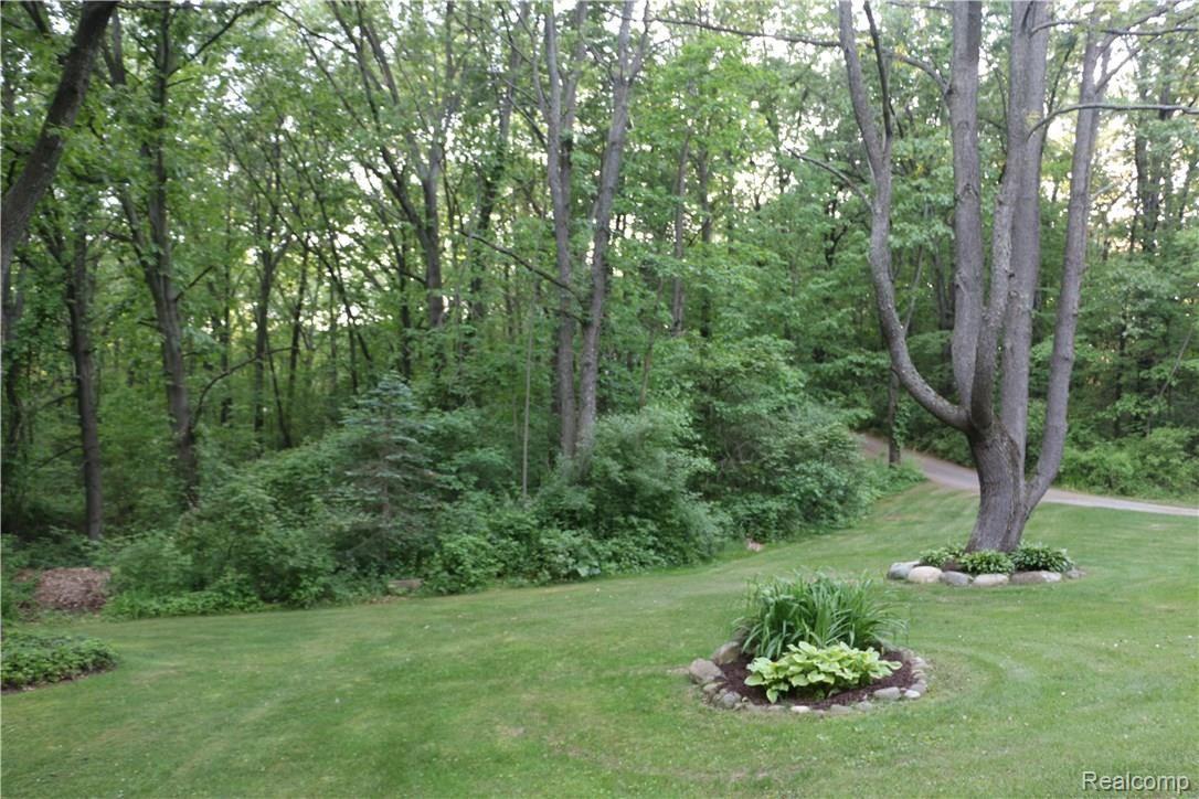 9404 Mabley Hill Road Fenton, MI 48430 - Photo 9 of 46 View to the North. Notice how you haven't seen any neighbors yet? Private!