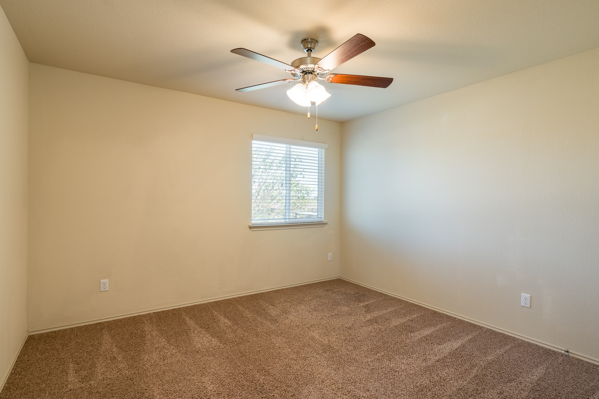 201 Geode Lane Jarrell, TX 76537 - Photo 12 of 17 Gallery Image 12