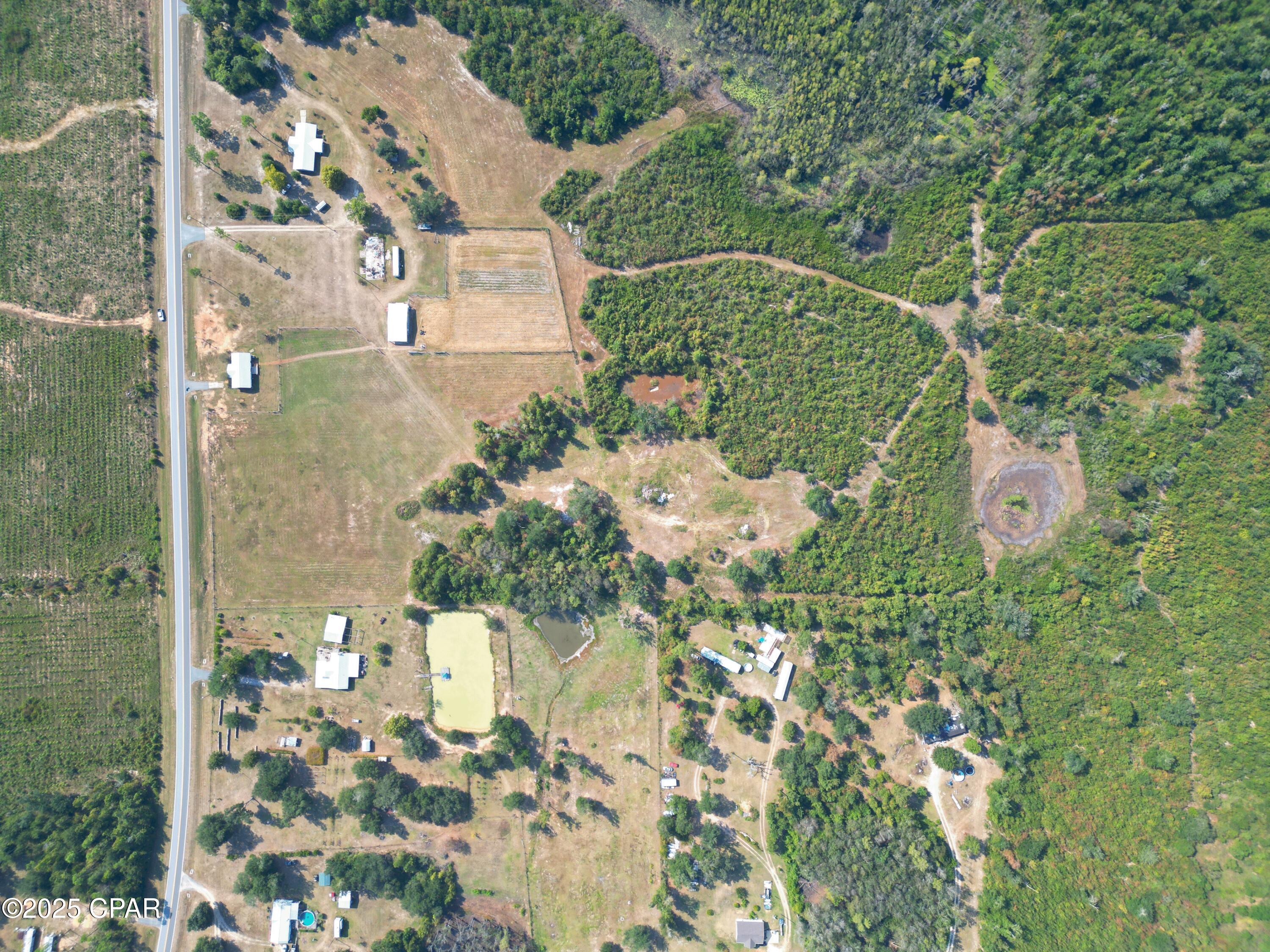 23940 Cr-73a Altha, FL 32421 - Photo 7 of 12