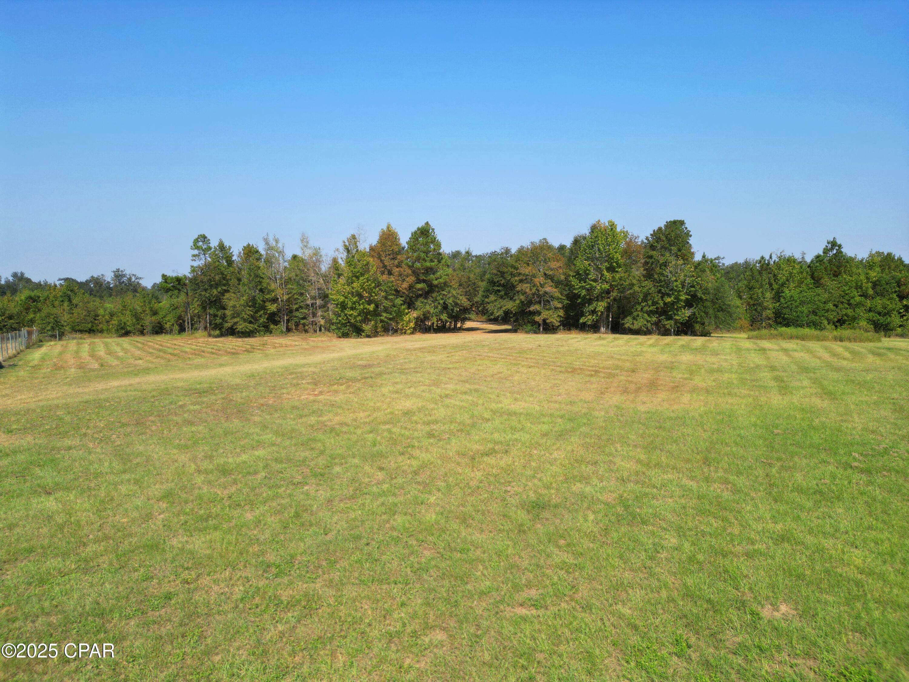 23940 Cr-73a Altha, FL 32421 - Photo 8 of 12