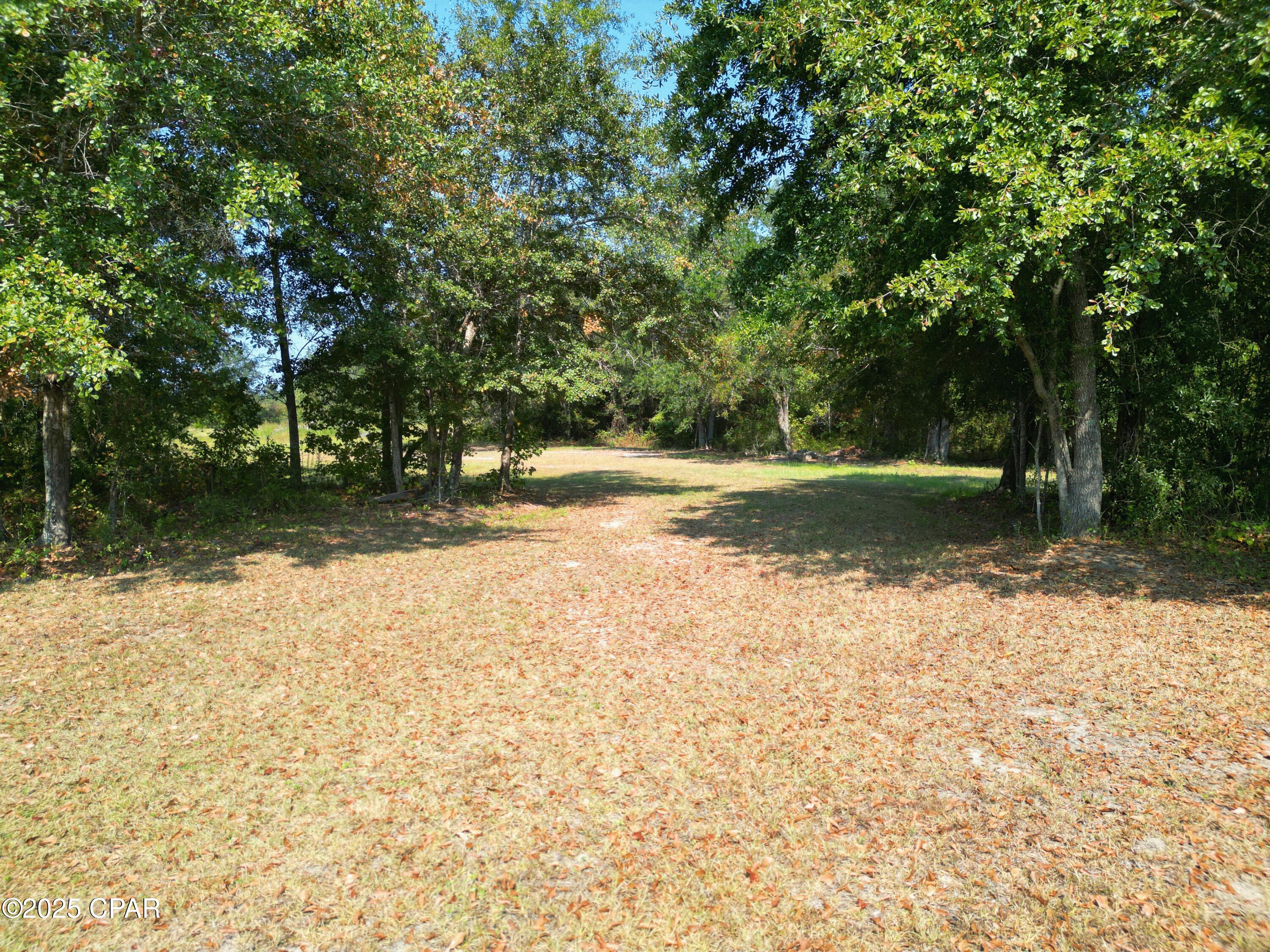 23940 Cr-73a Altha, FL 32421 - Photo 9 of 12