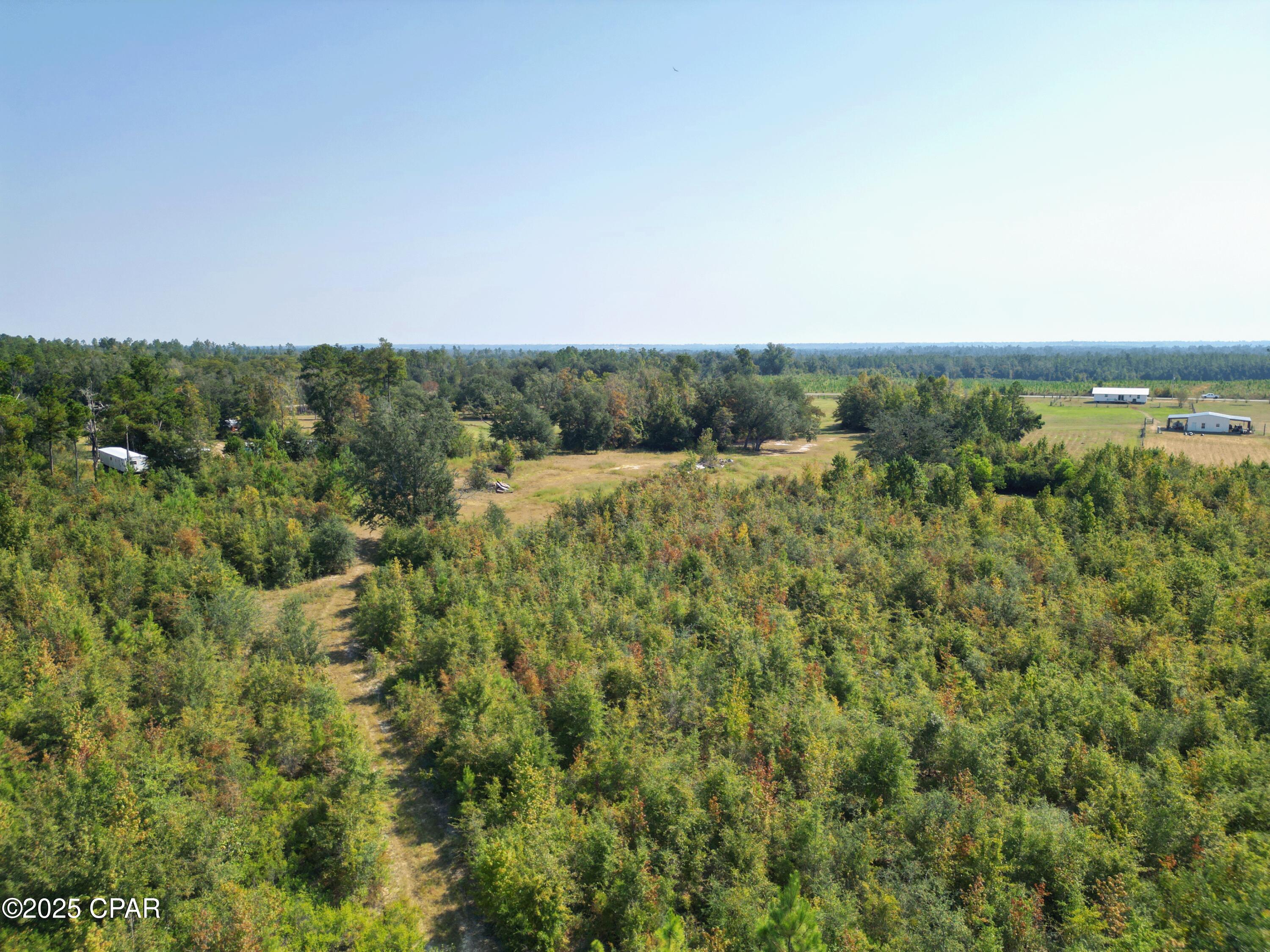 23940 Cr-73a Altha, FL 32421 - Photo 10 of 12