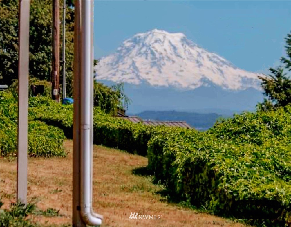 11409 Karshner Road East Edgewood, WA 98372 - Photo 1 of 28 a view of a garden