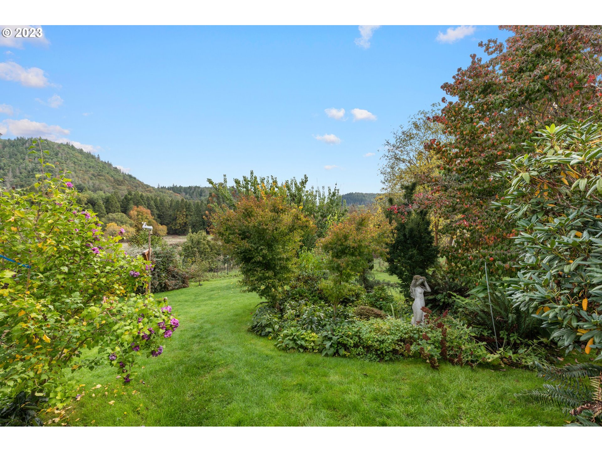 4235 Canyonville-Riddle Road Riddle, OR 97469 - Photo 25 of 38 a view of a yard with a tree