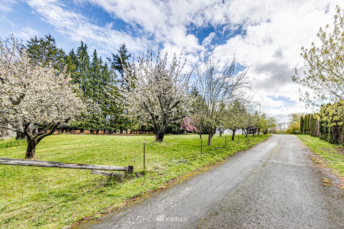 155 Taylor Cutoff Road Sequim, WA 98382 - Photo 34 of 37 a view of a park with large trees