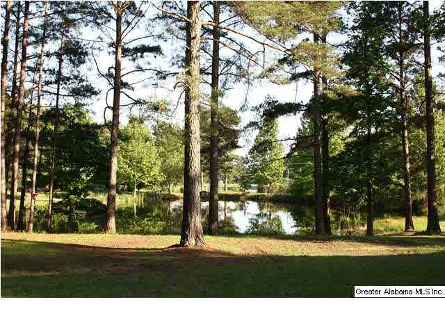 730 Copper Springs Road Odenville, AL 35120 - Photo 6 of 16