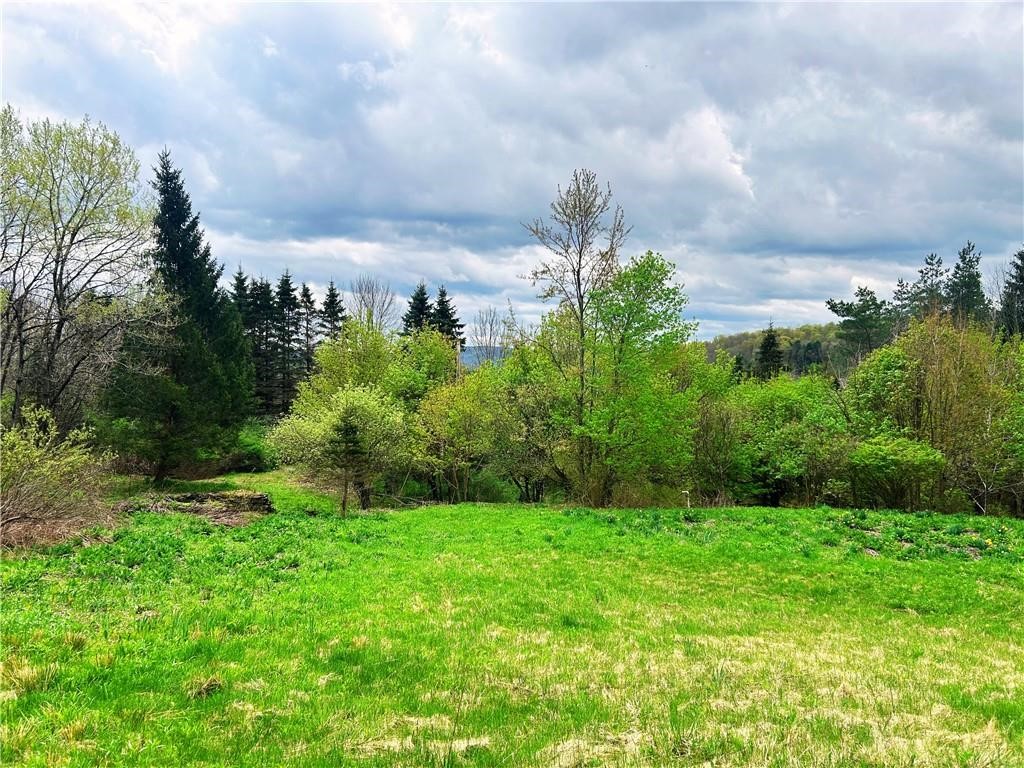 Sisson Hill Road Unadilla, NY 13849 - Photo 11 of 13 Gallery Image 11