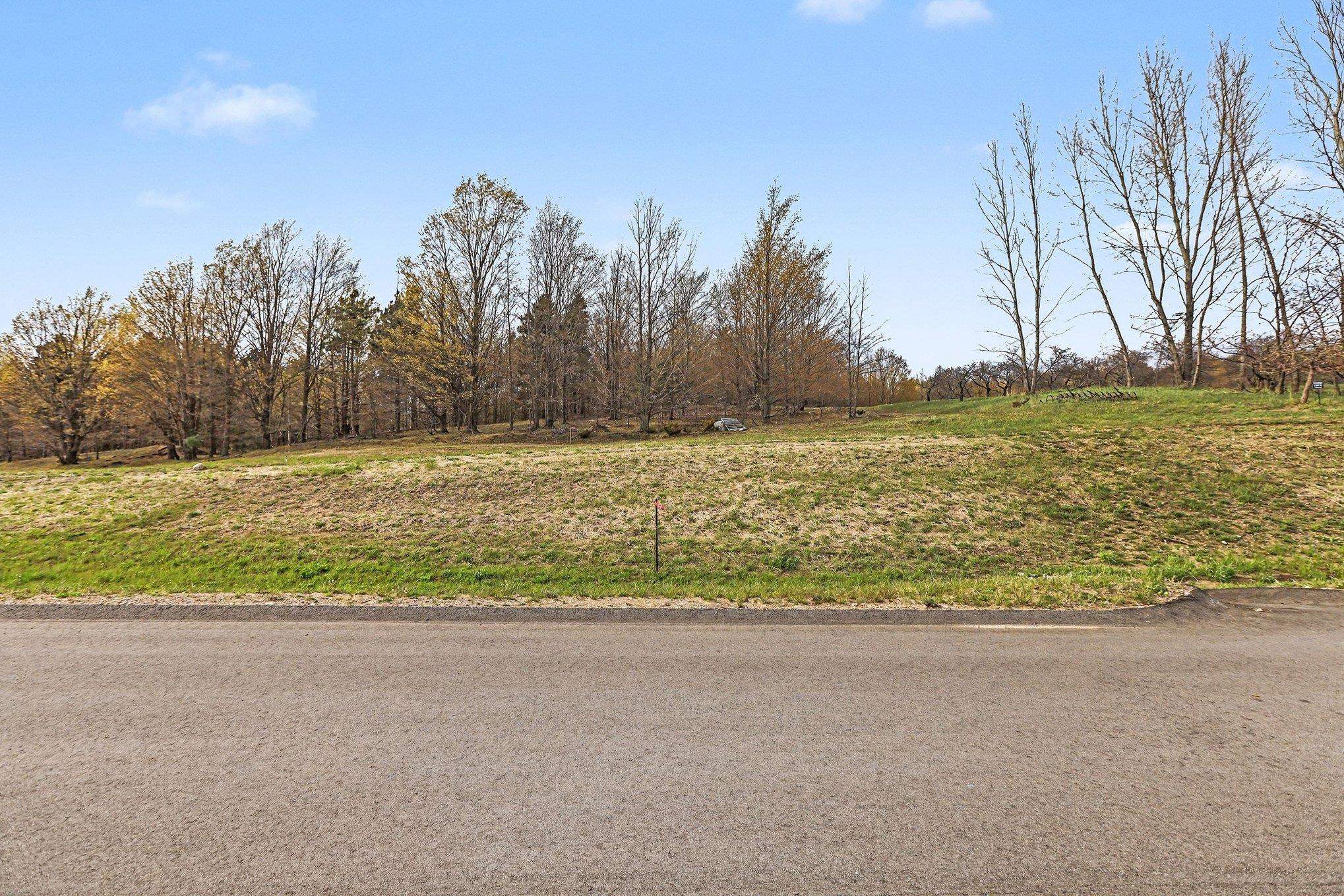 V/l South Karnes Road Empire, MI 49630 - Photo 7 of 12 1947639-3077cf20-cafc-4035-ba14-ad98f4acd325.JPG