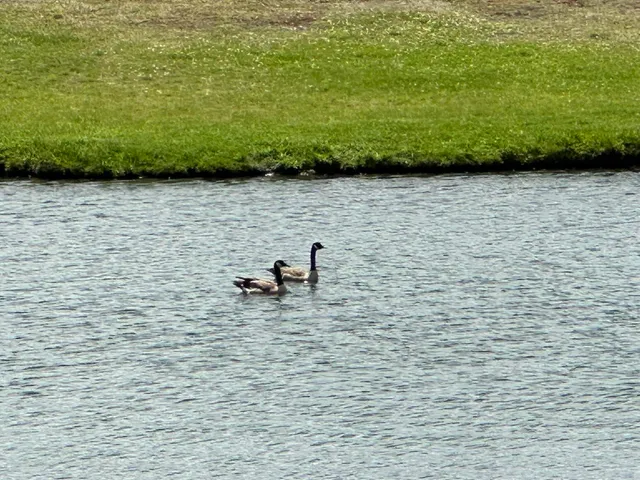 $565,000 | 550 Pete's Pond Road, Hardwick, VT 05836