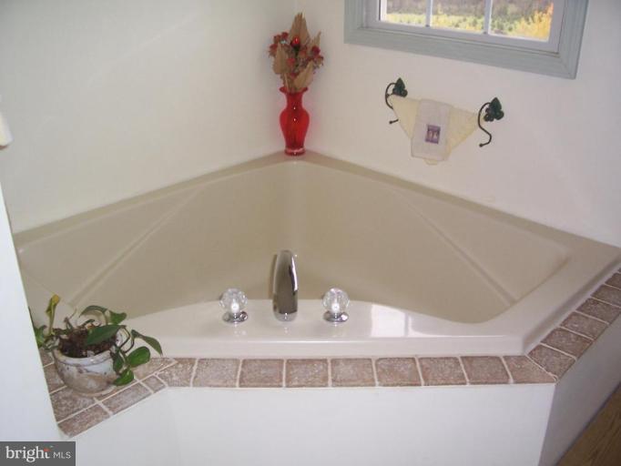 3622 Mills Road Sharpsburg, MD 21782 - Photo 7 of 17 Master Bath