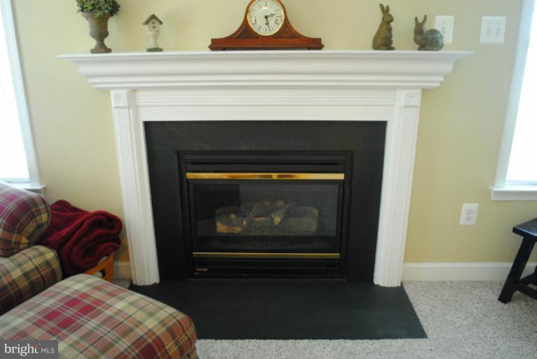 1108 Top Ridge Court Gambrills, MD 21054 - Photo 26 of 30 Gas fireplace in family roomf