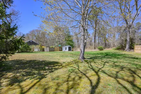 a view of a garden with a tree