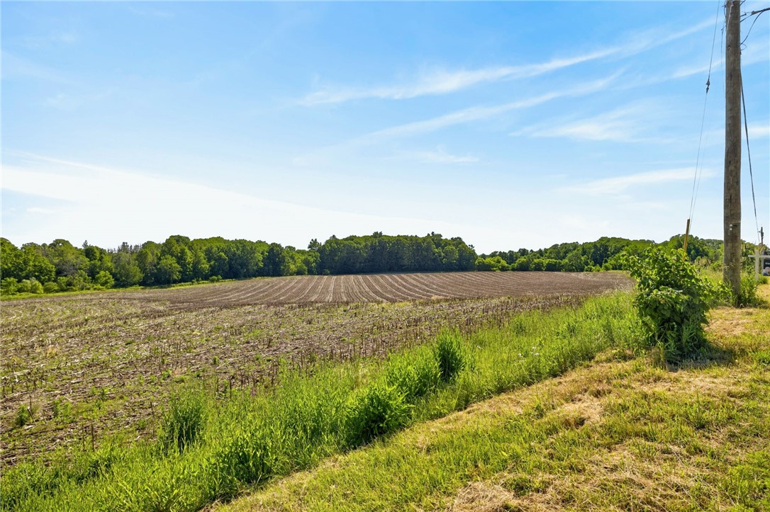 Cramer Road Canandaigua, NY 14424 - Photo 9 of 47