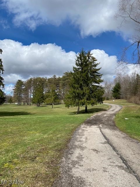 Vl Wilson Mills Road Chardon, OH 44024 - Photo 3 of 15