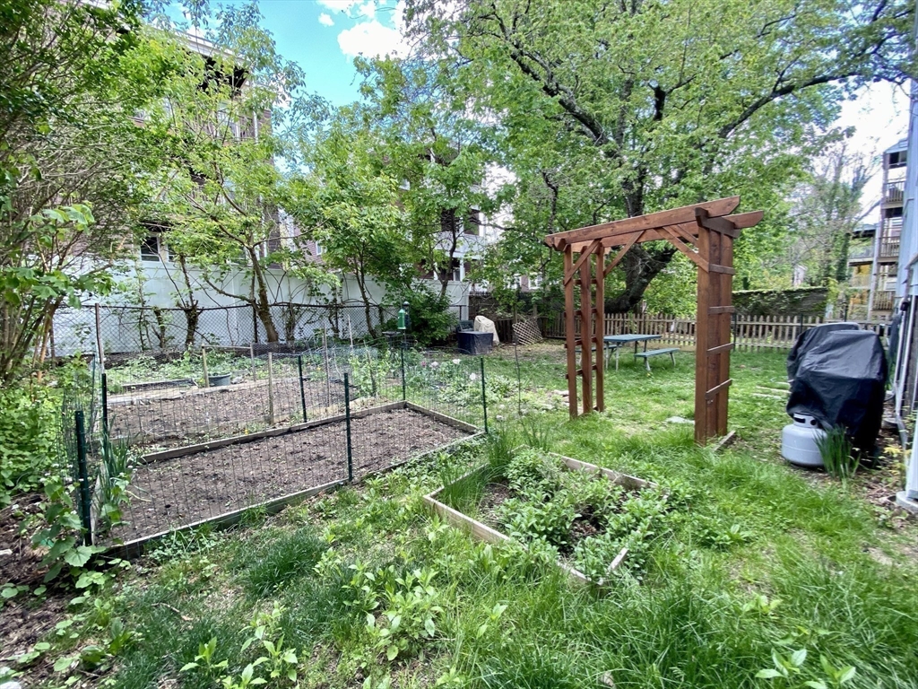 12 St Peter Street, Unit 1 Boston, MA 02130 - Photo 17 of 20 a view of backyard with green space