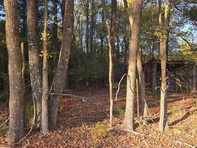 a backyard of a house with lots of trees
