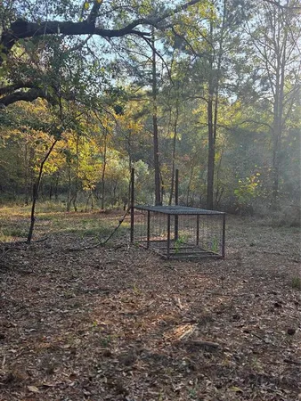 a view of a backyard with trees