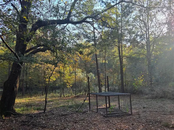 a view of a bench in a forest