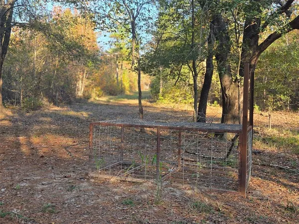 a view of backyard with tree