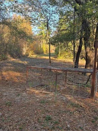 a view of yard with trees